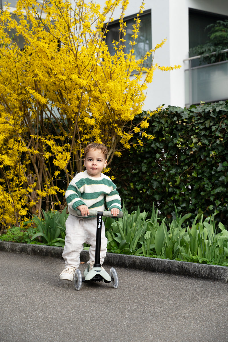 Micro Mini Deluxe Rock & Go LED