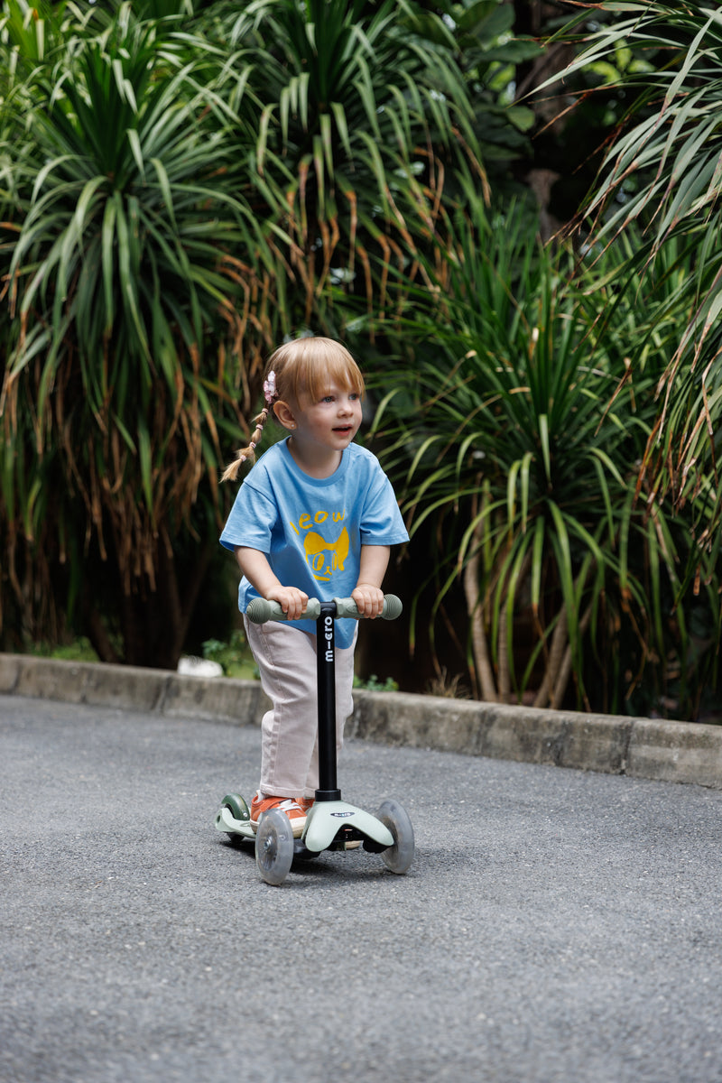 Micro Mini Deluxe Rock & Go LED