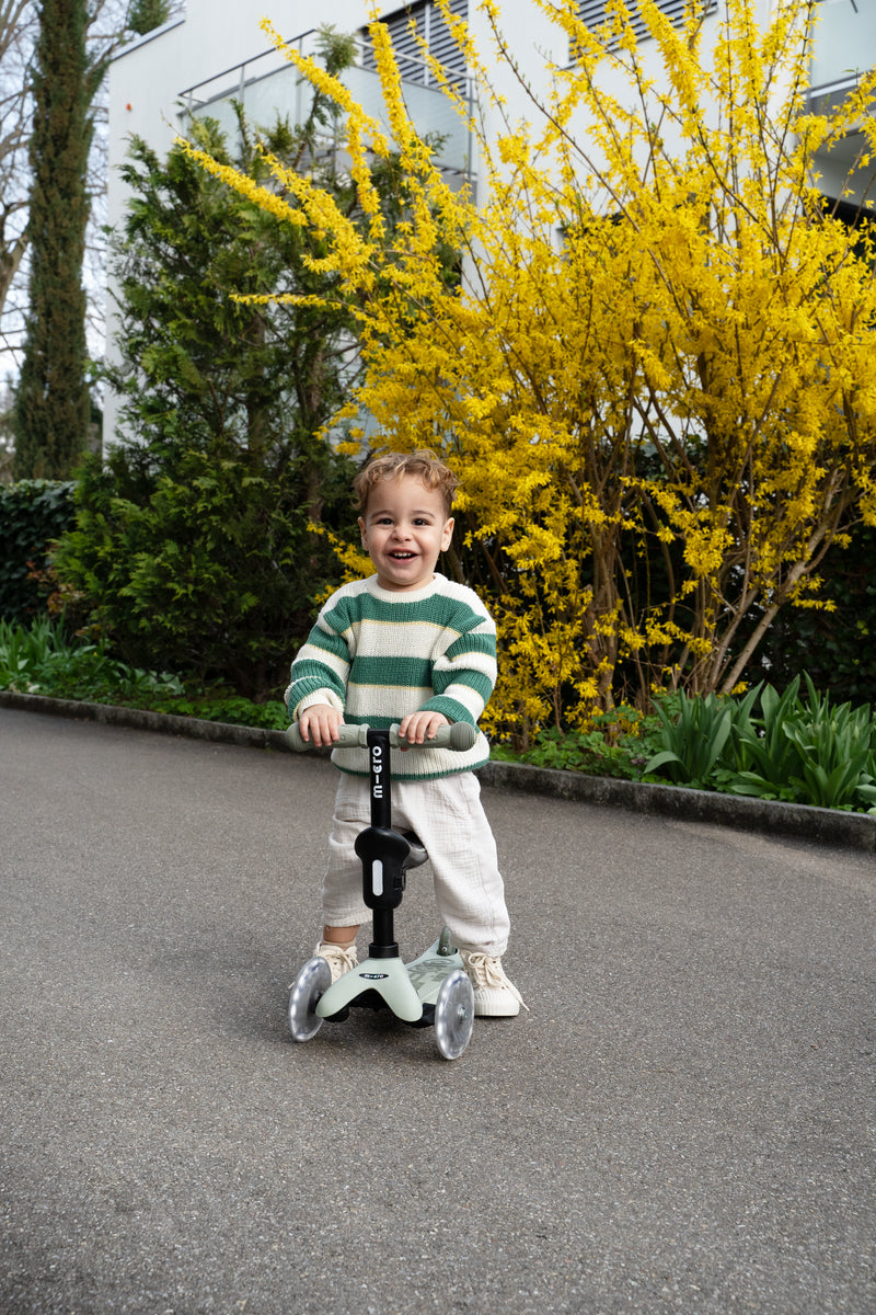 Micro Mini Deluxe Rock & Go LED