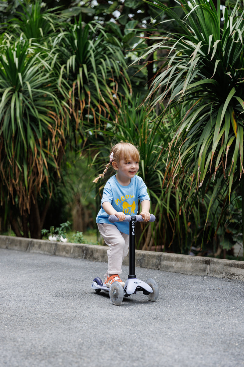 Micro Mini Deluxe Rock & Go LED