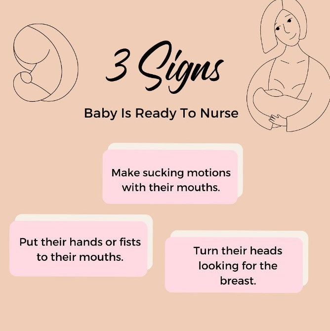 3 Signs Baby Is Ready To Nurse