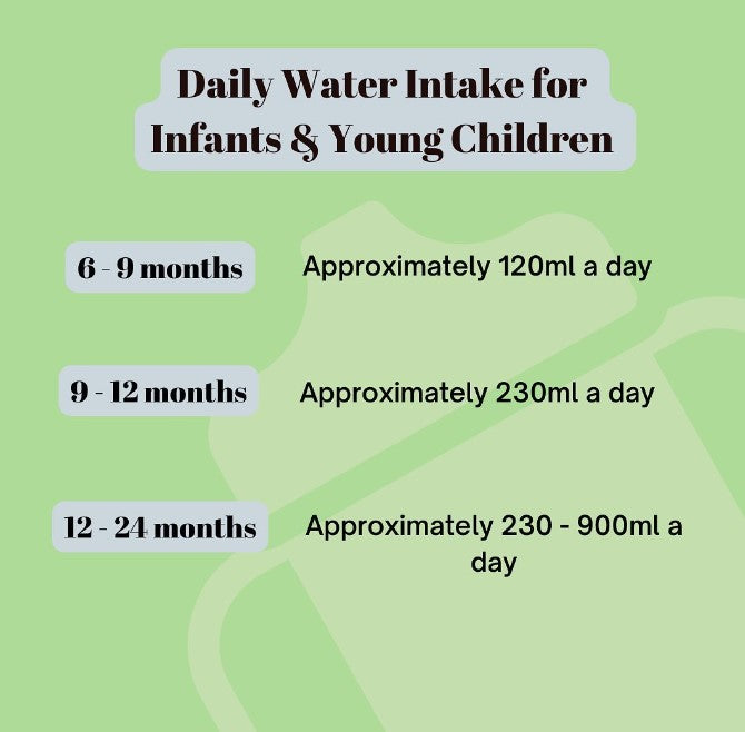 Daily Water Intake for Infants and Young Children