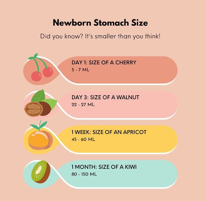 Newborn Stomach Size