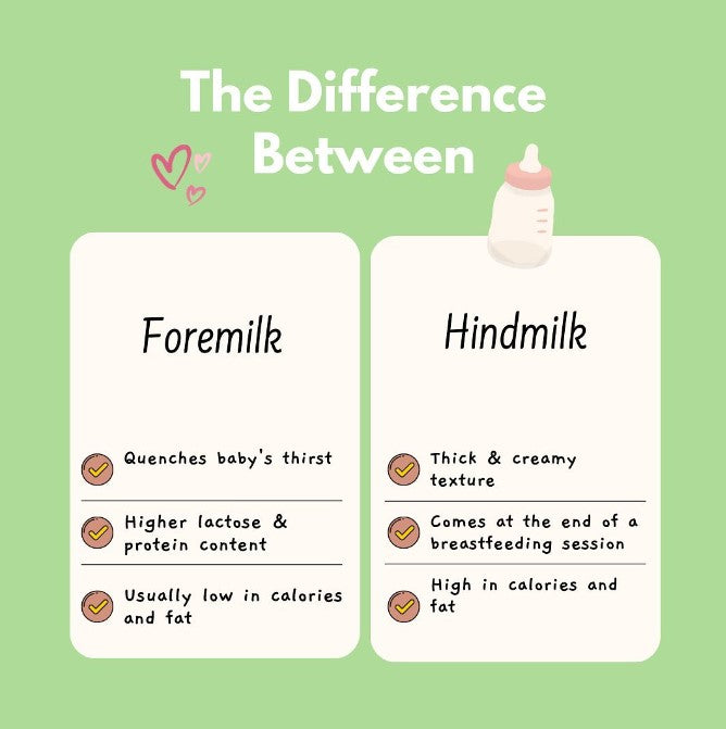 The Difference Between Foremilk and Hindmilk