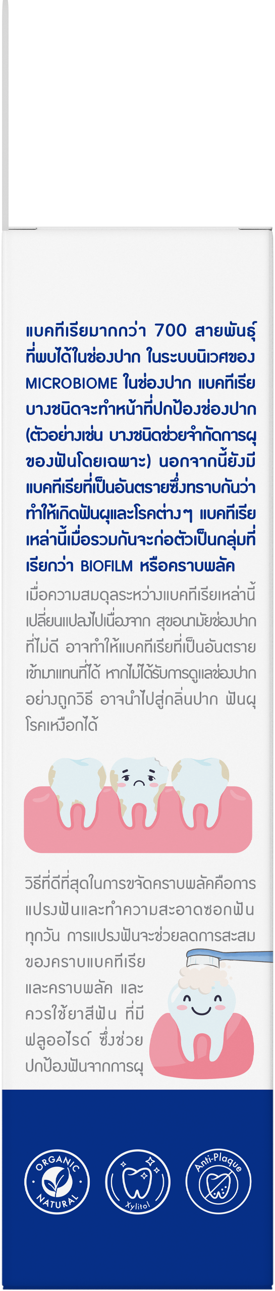 Kindee Toothpaste Pre & Probiotics Fluoride 1000PPM - Yogurt