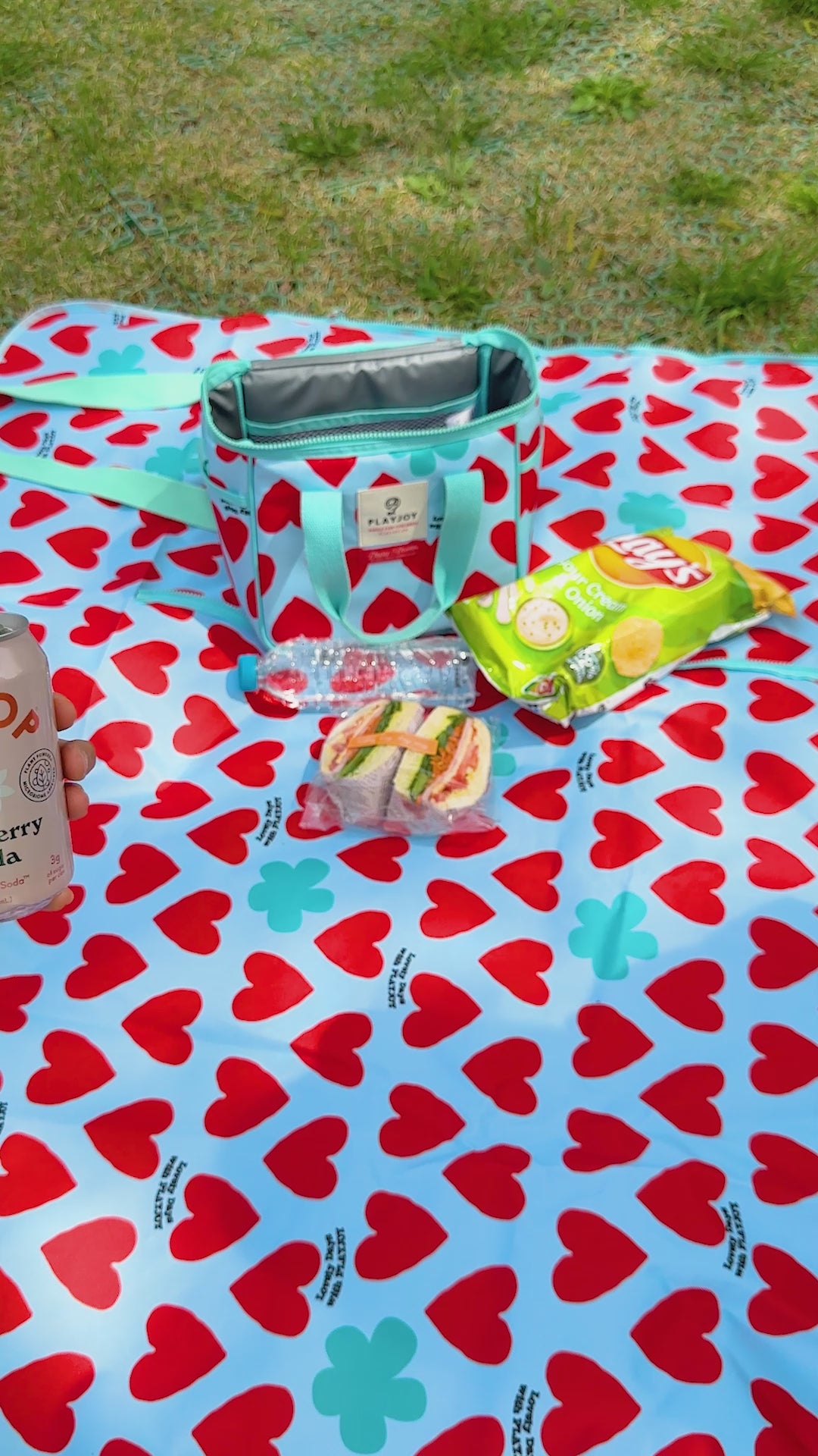 Playjoy Picnic Bag