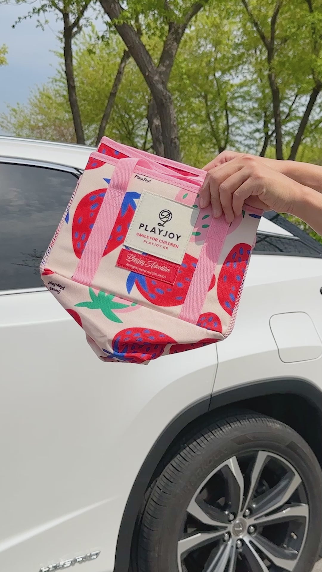 Playjoy Travel Folding Basket